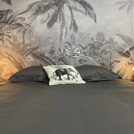 Studio Nuit Chez Louis Rodez
